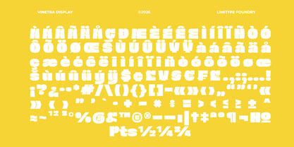 Vinetra Font Poster 11