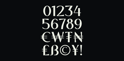 Negen Font Poster 12