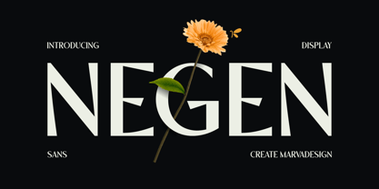 Negen Font Poster 1