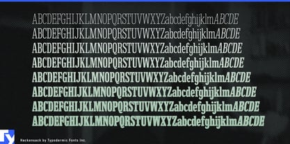 Hackensack Font Poster 4