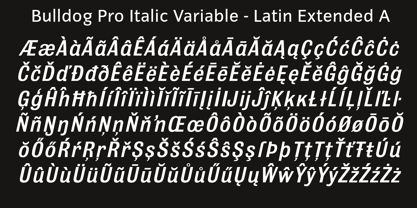 Bulldog Pro Italic Variable Font Poster 6