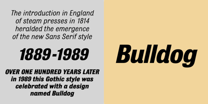 Bulldog Pro Italic Variable Font Poster 14