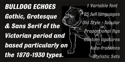 Bulldog Pro Italic Variable Font Poster 3