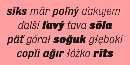 Bulldog Pro Italic Variable Font Poster 7