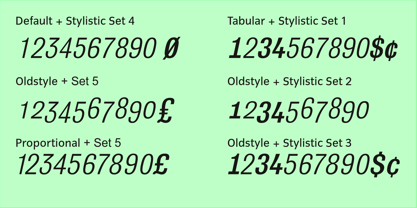 Bulldog Pro Italic Variable Font Poster 4