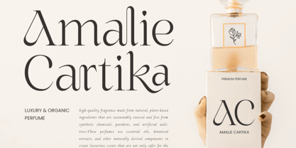Sakoira Font Poster 5