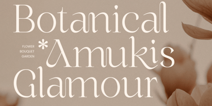Sakoira Font Poster 11