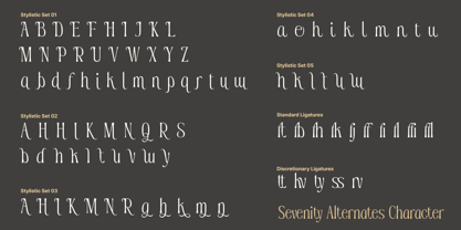 Sevenity Font Poster 10