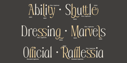 Sevenity Font Poster 8