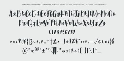 Biketank Font Poster 9