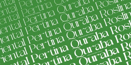 Galdertine Charetam Semi Serif Font Poster 9