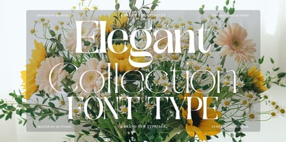 Galdertine Charetam Semi Serif Font | Webfont & Desktop | MyFonts