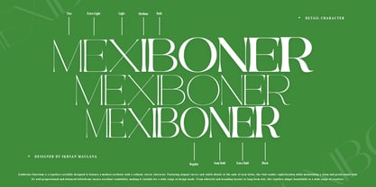 Galdertine Charetam Semi Serif Font Poster 5