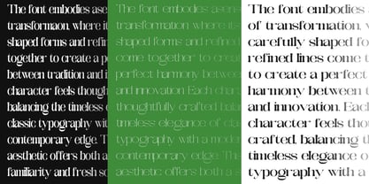 Galdertine Charetam Semi Serif Font Poster 12
