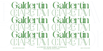 Galdertine Charetam Semi Serif Font Poster 11
