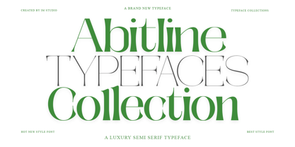 Galdertine Charetam Semi Serif Font Poster 4