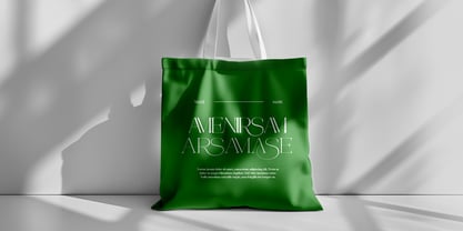 Galdertine Charetam Semi Serif Font Poster 8