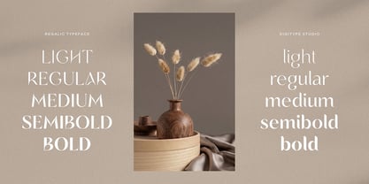 Regalic Font Poster 3