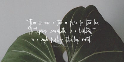 Farthing Signature Font Poster 5