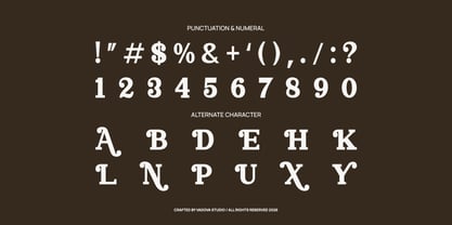 Norvane Font Poster 3