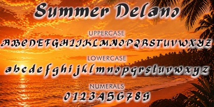 Summer Delano Font Poster 4