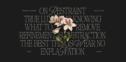 Brendast Grande Font Poster 12