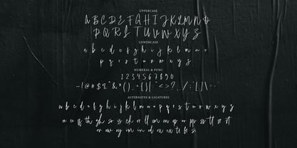 Edomisse Signature Font Poster 7