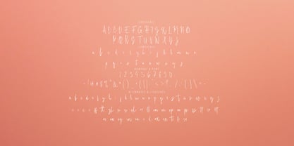 Gastovali Signature Brush Font Poster 7