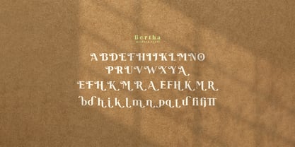Bertha Serif Font Poster 9