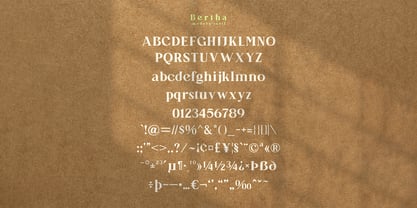 Bertha Serif Font Poster 8