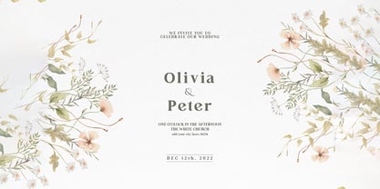 Bertha Serif Font Poster 7
