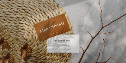 Bertha Serif Font Poster 6