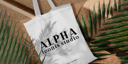 Bertha Serif Font Poster 5