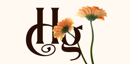 Dionara Font Poster 5