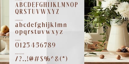 Dionara Font Poster 2