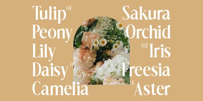 Dionara Font Poster 3