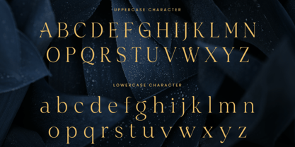 Salran Font Poster 6