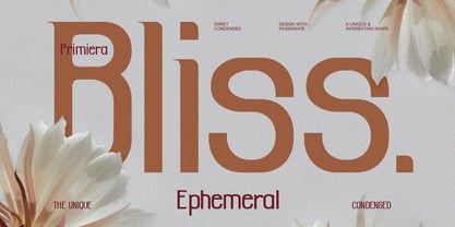 Primiera Font Poster 3