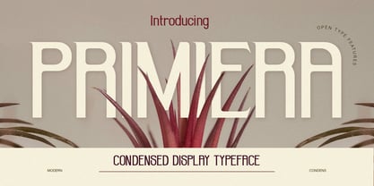 Primiera Font Poster 1