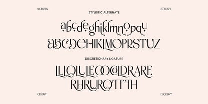 Delorian Display Font Poster 3