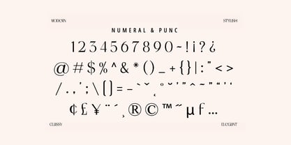 Delorian Display Font Poster 8