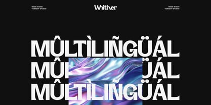 Whither Display Slant Font Poster 5