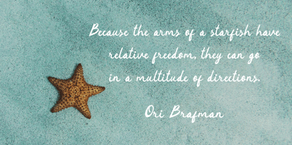 Coastaline Balibo Font Poster 4