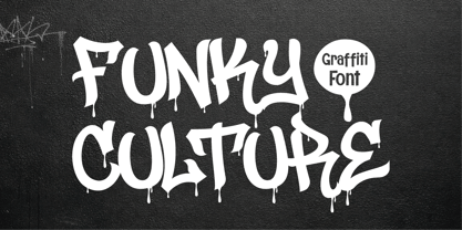 Funky Culture Font Poster 1