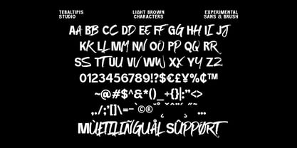 Light Brown Display Font Poster 10