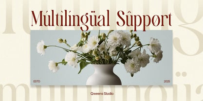 Calvigan Font Poster 9