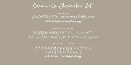 Bramonia Font Poster 15