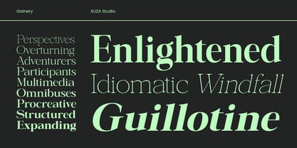 Galnery Font Poster 5