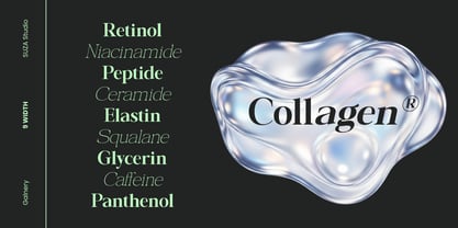 Galnery Font Poster 6