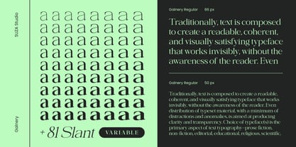 Galnery Font Poster 13